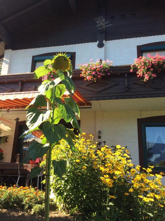 Ferienwohnung Gerti Kalt Lieserhofen Exterior foto